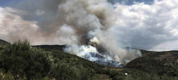 Φωτιά αυτή την ώρα στη Σαλαμίνα – Γίνεται εκτροπή της κυκλοφορίας